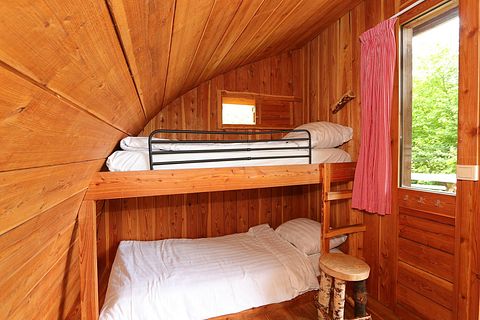 Beautiful nature cabin in Gelderland - 3
