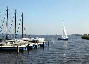 Spacious glamping tent (4p) by the water - 15