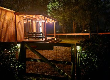 Cozy Tiny House in wooded area - 11