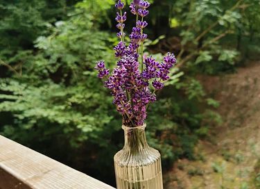 Treehouse (2p) in the Ardennes with wellness - 26