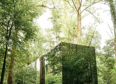 Ruhe und Frieden in den belgischen Wäldern - 3