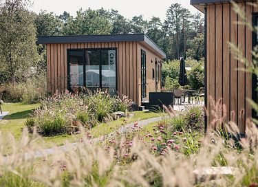 Luxe chalet midden in de Drentse natuur - 2