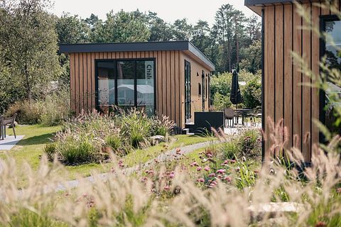 Luxe chalet midden in de Drentse natuur - 2