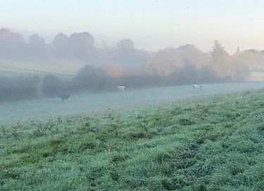 Landelijk vakantiehuis in Zuid-Limburg - 17