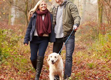 Pet-friendly lodge in the forest (2p) - 16
