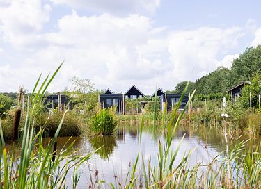 Tiny House voor 2 op groen park in Drenthe - 29