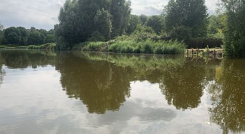 Tiny House aan het water - 5
