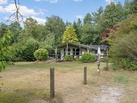 Vakantiehuis in de natuur met overdekt terras - 4