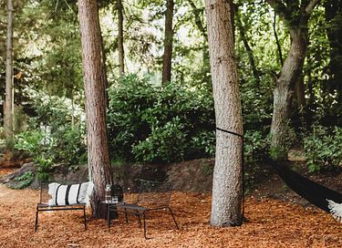 Design vakantiehuisje op de Veluwe - 22