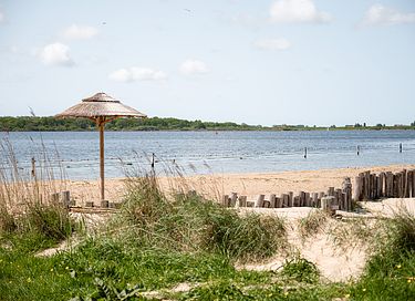 Leuke familiecamping aan het water in Zeeland - 46