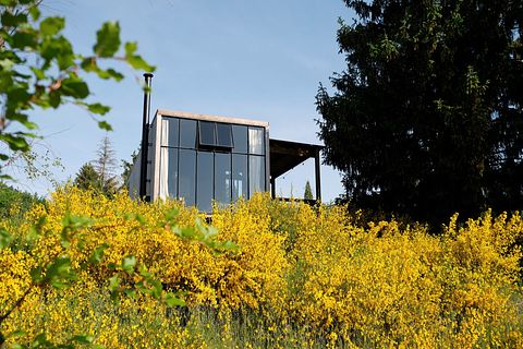 Cabine spacieuse en pleine nature française - 4