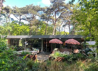 Romantic hide out in the forest near the sea - 42