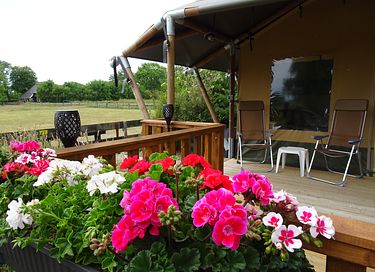 Luxe glamping in Noord-Holland - 5