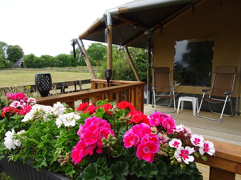 Luxe glamping in Noord-Holland - 5