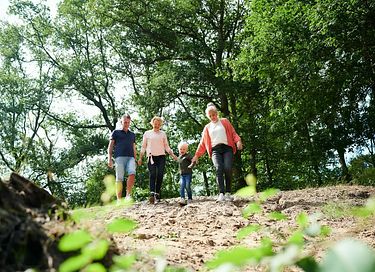 Vakantiehuis voor 22 personen op de Veluwe - 37
