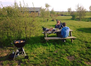 Rural tiny house near the city of Groningen - 22