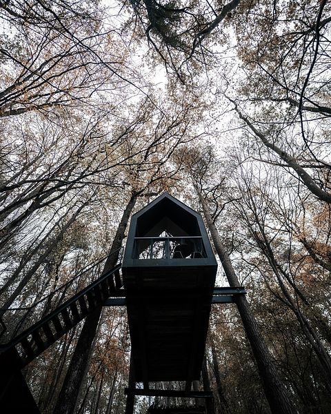 Stimmungsvolle Waldhütte in den Ardennen - 3