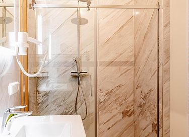 Luxury apartment with sauna in Austria - 13