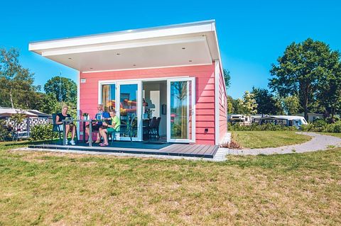 Farverigt chalet til 4 personer i Gelderland - 2