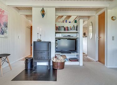 Rietgedekt vakantiehuis in Denemarken - 22