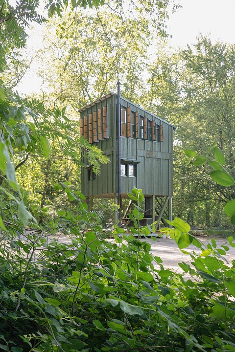 Unieke accommodatie op hoogte op de Veluwe - 4