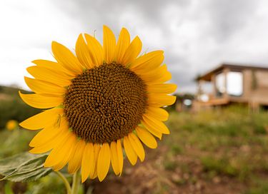 Nature Cabin for Those Seeking Peace and Quiet - 15