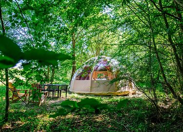Luxe bubble met privé badkamer - 2