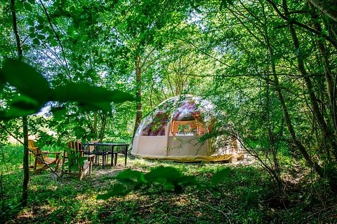 Luxe bubble met privé badkamer - 2