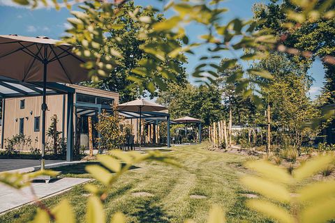 Un petit lodge dans un cadre magnifique - 2