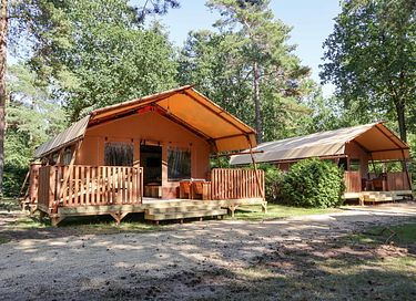 Luxuriöses Safarizelt auf der Veluwe (2p) - 4