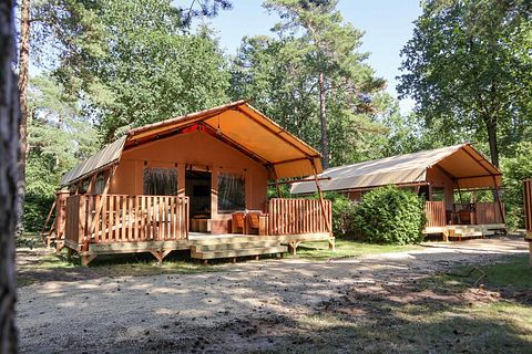 Luxuriöses Safarizelt auf der Veluwe (2p) - 4
