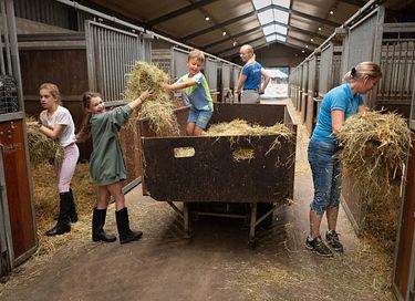 Glamping op een paardenboerderij - 12