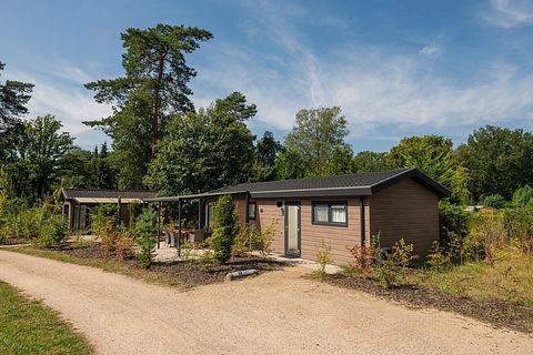 Lodge für 5 Personen auf der Veluwe - 2