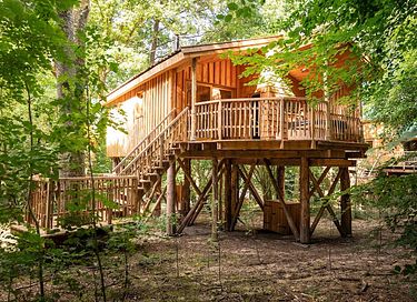 Cabane perchée (2 pers.) dans les Ardennes