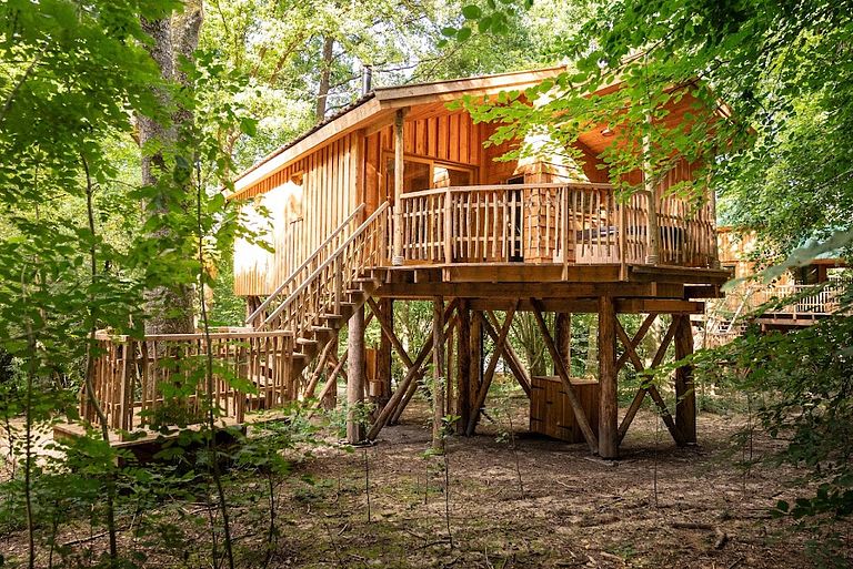 Treehouse (2p) in the Ardennes with wellness - 1