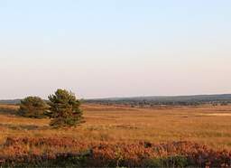 Veluwe
