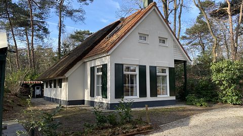 Cozy cottage in the forest - 3