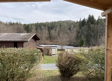 T tiny house in southern Austria - 9