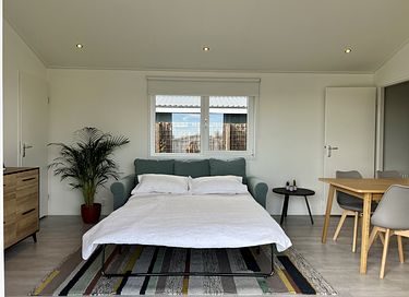 Vakantiehuis aan de Vinkeveense Plassen - 9