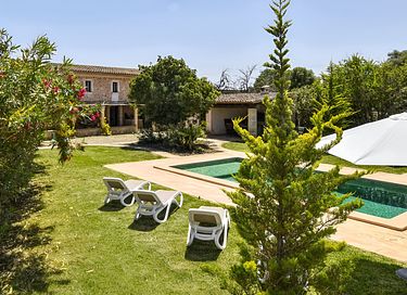 Groen vakantiehuis met veel privacy  - 1