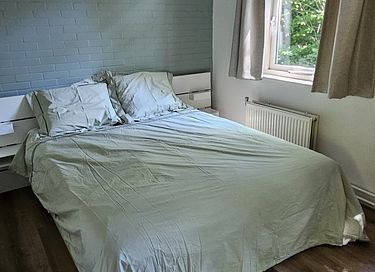 Dog-friendly forest cabin with privacy - 11