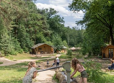 Beautiful forest cabin in small vacation park - 25