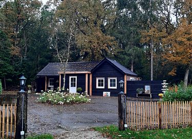 B&B in the forest with private swimming pond - 21