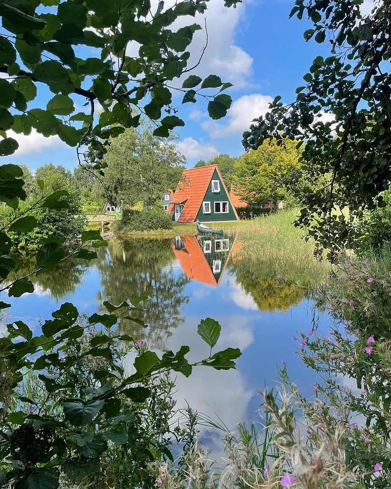 Knus huisje aan een visvijver in het groen - 1