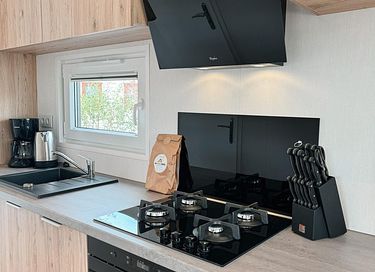 Luxe chalet midden in de Drentse natuur - 10