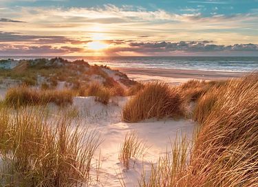Luxuriöses Familienzelt auf der Insel Ameland - 27