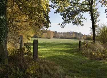 Vrijstaande 4-persoons bungalow  - 17