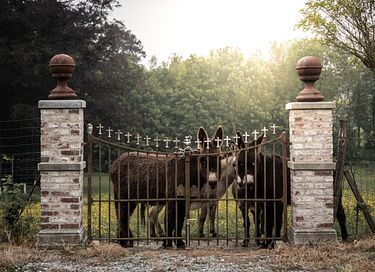 Groepsaccommodatie (12p) in een chateau - 35