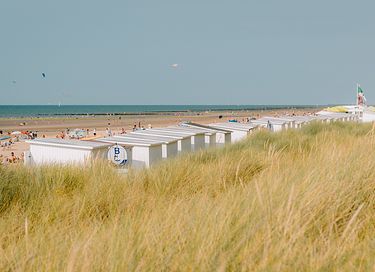 Glamping near the sea and beach - 10