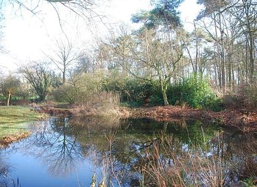 Prachtig natuurhuisje als in een sprookje - 18